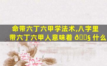命带六丁六甲学法术,八字里带六丁六甲人意味着 🐧 什么